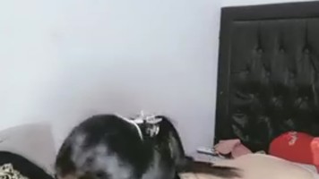 Karin Lepas Baju Ngentot Sampe Tuntas